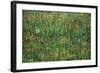 Patch of Grass by Van Gogh-Vincent van Gogh-Framed Art Print