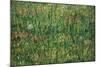 Patch of Grass by Van Gogh-Vincent van Gogh-Mounted Art Print