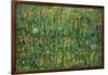 Patch of Grass by Van Gogh-Vincent van Gogh-Framed Art Print