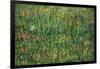 Patch of Grass by Van Gogh-Vincent van Gogh-Framed Art Print