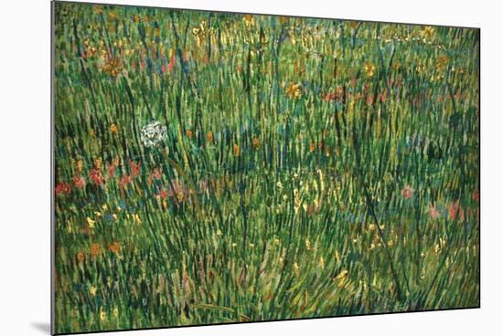 Patch of Grass by Van Gogh-Vincent van Gogh-Mounted Premium Giclee Print