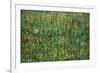 Patch of Grass by Van Gogh-Vincent van Gogh-Framed Art Print