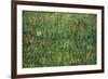Patch of Grass by Van Gogh-Vincent van Gogh-Framed Art Print