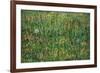 Patch of Grass by Van Gogh-Vincent van Gogh-Framed Art Print