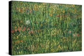 Patch of Grass by Van Gogh-Vincent van Gogh-Stretched Canvas