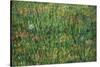 Patch of Grass by Van Gogh-Vincent van Gogh-Stretched Canvas