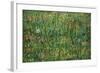 Patch of Grass-Vincent van Gogh-Framed Art Print