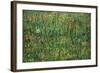 Patch of Grass-Vincent van Gogh-Framed Art Print