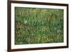 Patch of Grass-Vincent van Gogh-Framed Premium Giclee Print