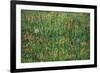 Patch of Grass-Vincent van Gogh-Framed Premium Giclee Print