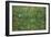 Patch of Grass-Vincent van Gogh-Framed Art Print