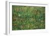 Patch of Grass-Vincent van Gogh-Framed Art Print