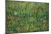 Patch of Grass-Vincent van Gogh-Mounted Art Print