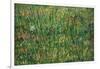 Patch of Grass-Vincent van Gogh-Framed Art Print