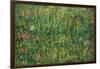 Patch of Grass-Vincent van Gogh-Framed Art Print