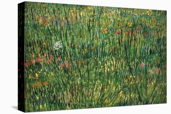 Patch of Grass-Vincent van Gogh-Stretched Canvas