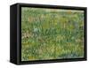 Patch of Grass-Vincent van Gogh-Framed Stretched Canvas