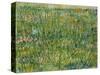 Patch of Grass-Vincent van Gogh-Stretched Canvas