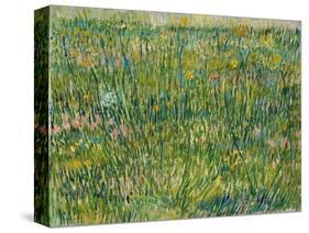 Patch of Grass-Vincent van Gogh-Stretched Canvas