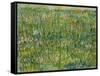 Patch of Grass-Vincent van Gogh-Framed Stretched Canvas