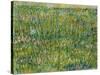 Patch of Grass-Vincent van Gogh-Stretched Canvas