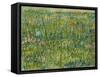 Patch of Grass-Vincent van Gogh-Framed Stretched Canvas