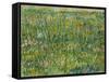 Patch of Grass-Vincent van Gogh-Framed Stretched Canvas