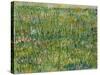 Patch of Grass-Vincent van Gogh-Stretched Canvas