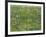 Patch of Grass-Vincent van Gogh-Framed Giclee Print