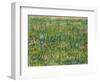 Patch of Grass-Vincent van Gogh-Framed Giclee Print