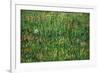 Patch of Grass-Vincent van Gogh-Framed Art Print