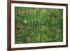 Patch of Grass-Vincent van Gogh-Framed Art Print