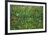 Patch of Grass-Vincent van Gogh-Framed Art Print