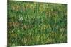 Patch of Grass-Vincent van Gogh-Mounted Art Print