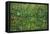 Patch of Grass-Vincent van Gogh-Framed Stretched Canvas