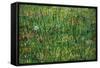 Patch of Grass-Vincent van Gogh-Framed Stretched Canvas