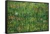 Patch of Grass-Vincent van Gogh-Framed Stretched Canvas