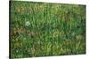 Patch of Grass-Vincent van Gogh-Stretched Canvas