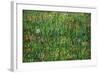 Patch of Grass-Vincent van Gogh-Framed Art Print