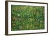 Patch of Grass-Vincent van Gogh-Framed Art Print