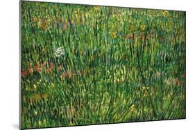 Patch of Grass-Vincent van Gogh-Mounted Art Print