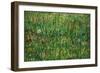 Patch of Grass-Vincent van Gogh-Framed Premium Giclee Print