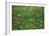 Patch of Grass-Vincent van Gogh-Framed Premium Giclee Print