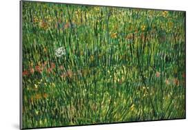 Patch of Grass-Vincent van Gogh-Mounted Premium Giclee Print