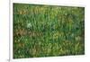 Patch of Grass-Vincent van Gogh-Framed Art Print