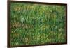 Patch of Grass-Vincent van Gogh-Framed Art Print