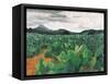 Patch of Prickly Pears on the Way to Tulancingo (Cloudy Sky) 2004-Pedro Diego Alvarado-Framed Stretched Canvas