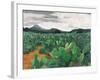 Patch of Prickly Pears on the Way to Tulancingo (Cloudy Sky) 2004-Pedro Diego Alvarado-Framed Giclee Print