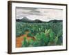 Patch of Prickly Pears on the Way to Tulancingo (Cloudy Sky) 2004-Pedro Diego Alvarado-Framed Giclee Print