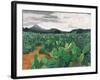 Patch of Prickly Pears on the Way to Tulancingo (Cloudy Sky) 2004-Pedro Diego Alvarado-Framed Giclee Print